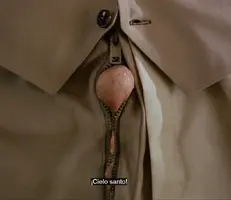 algo pasa con mary.webp