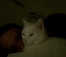 Captura de pantalla 2024-07-12 a las 20.57.32.webp