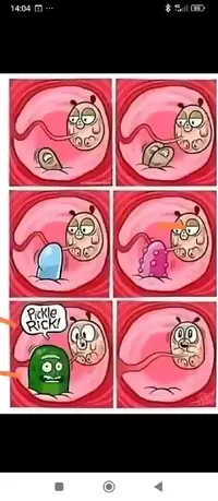 Imagen de WhatsApp 2024-07-19 a las 20.00.05_4aa3b567.webp