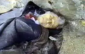 Documentos TV - Programa de reportajes de actualidad RTVE Play