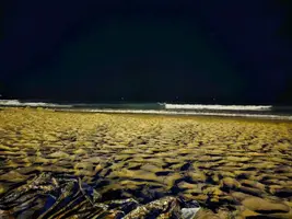 ZomboMeme 10082024104205.webp