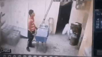 viddit_00e9442d (2).gif