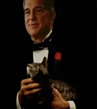 Captura de pantalla 2024-09-12 a las 19.42.47.webp