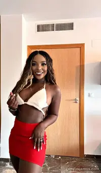 1728894361969.webp 1728894361969.webp