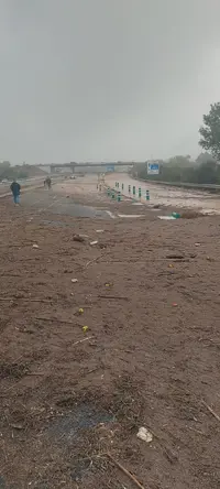 Imagen de WhatsApp 2024-10-30 a las 07.55.49_186d177b.webp