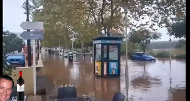 ZomboMeme 01112024052114.webp