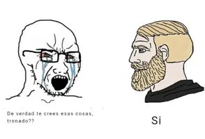 Soyboy Vs Yes Chad.webp