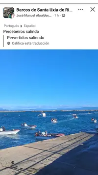 1731705605164.webp
