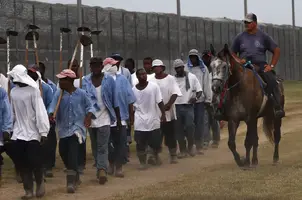 prisoners-returning-from-farm-work-at-the-louisiana-state-v0-f4gcch3xqoed1.webp