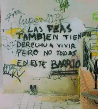 pintada-pared.webp