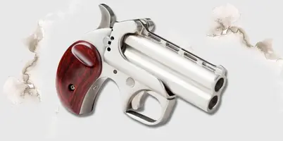 derringer.webp