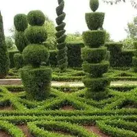 images.webp