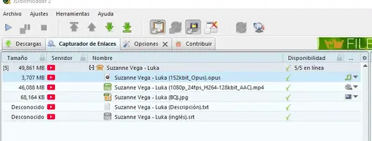 2024-12-25 19_47_21-Window.webp