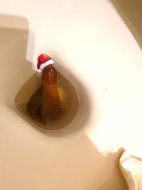 WhatsApp Image 2024-12-26 at 15.03.19.webp