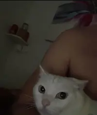 Captura 2025-01-02 a las 0.10.33.jpeg.webp