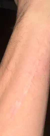 Ver fotos recientes (1).jpeg.webp