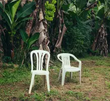 Captura de pantalla 2025-01-06 184559.webp