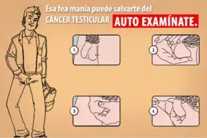 autoexamen-testicular-300x200.webp