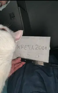 Ver fotos recientes (4).jpeg.webp