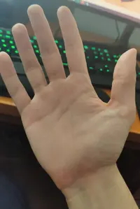 Imagen de WhatsApp 2025-02-10 a las 10.56.39_068caa42.webp