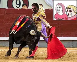Torero.webp