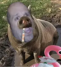 Captura de pantalla 2025-03-15 a las 1.00.50.webp