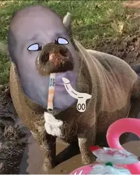 Diseño sin título.webp