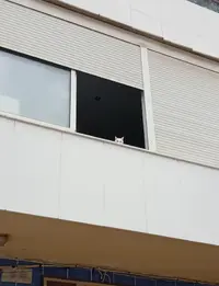 Captura 2025-03-25 a las 18.17.13.jpeg.webp