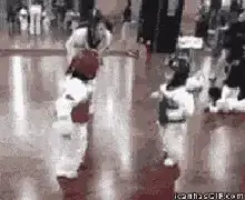fight-cute.webp