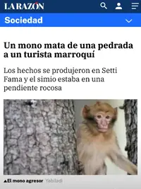 Captura 2025-04-19 a las 22.20.36.jpeg.webp