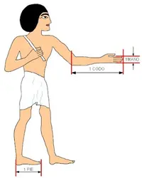 1000013540.webp