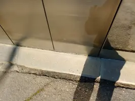 1747469044341516424326727020056.webp