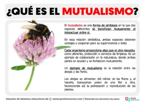 Que-es-el-Mutualismo.webp