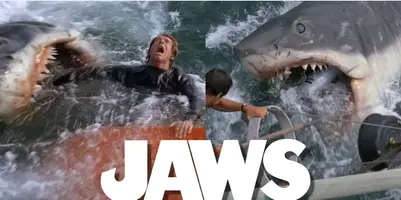 Screenshot 2025-06-29 202611.webp