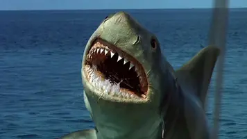 Jaws-the-Revenge.webp