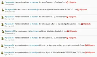 1752142473967.webp