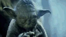 yoda-star-wars.webp