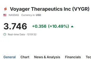 Captura de pantalla_13-8-2025_185227_www.investing.com.webp