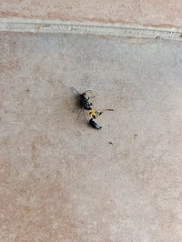 Imagen de WhatsApp 2025-08-16 a las 12.21.36_6d4e4272.webp