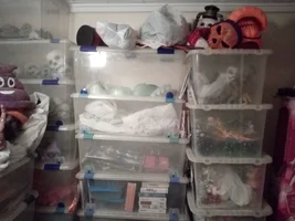 IMG_20250817_105714.webp IMG_20250817_105714.webp