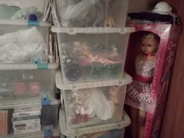 IMG_20250817_105947.webp IMG_20250817_105947.webp