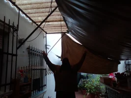 IMG_20240402_192016.webp IMG_20240402_192016.webp