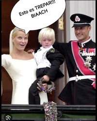 IMG_20250819_170829.webp IMG_20250819_170829.webp