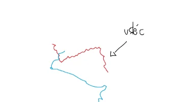 3.webp