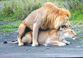 IMG_3309.webp IMG_3309.webp