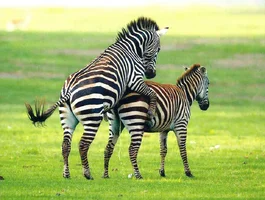 IMG_3310.webp IMG_3310.webp