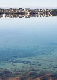 IMG_8799 - copia.webp