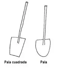 palas.webp