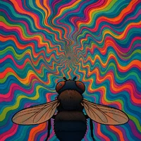 ChatGPT Image 19 oct 2025, 19_09_48.webp