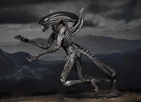 Xenomorfo.webp